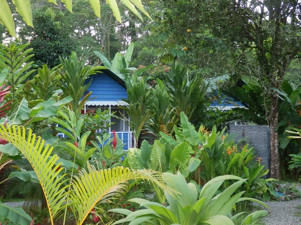 Hotel Casitas Mar Y Luz Puerto Viejo de Talamanca ภายนอก รูปภาพ