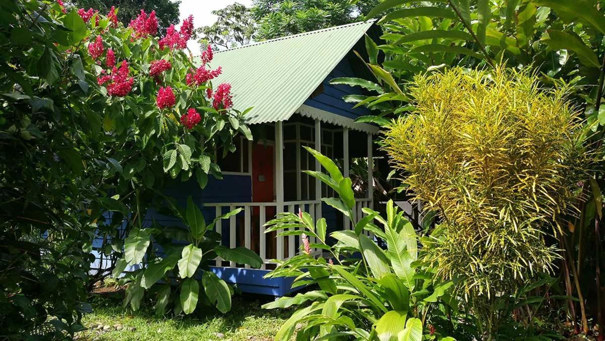 Hotel Casitas Mar Y Luz Puerto Viejo de Talamanca ห้อง รูปภาพ