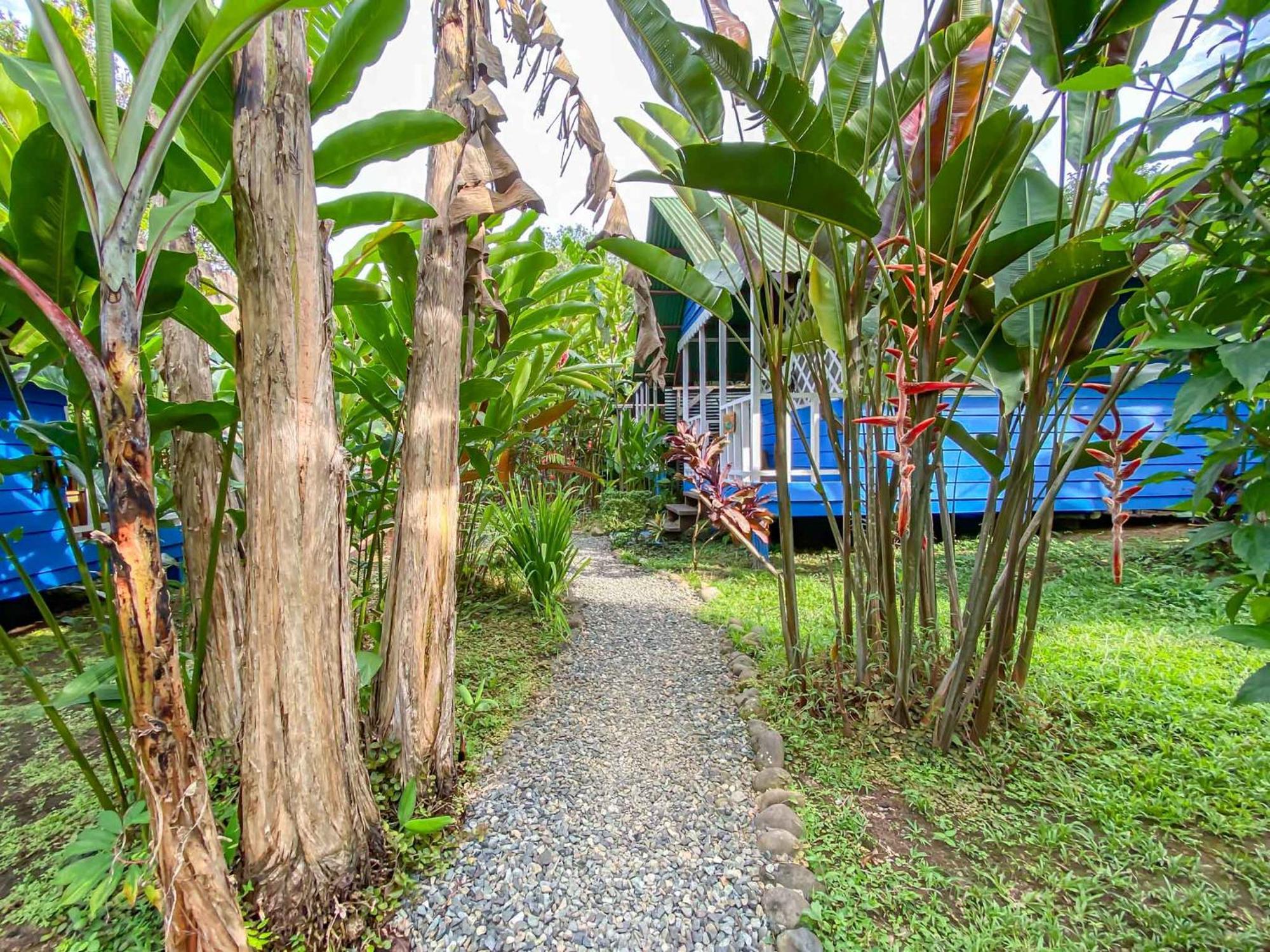 Hotel Casitas Mar Y Luz Puerto Viejo de Talamanca ห้อง รูปภาพ